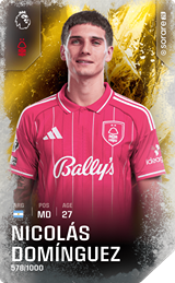 Nicolás Domínguez - limited