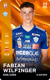 Fabian Wilfinger - limited