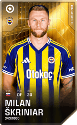 Milan Škriniar - limited