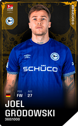Joel Grodowski - limited