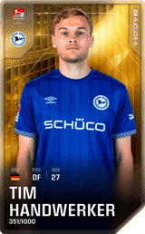 Tim Handwerker - limited