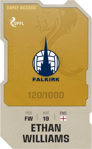 Ethan Williams - limited