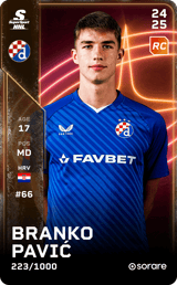 Branko Pavić - limited