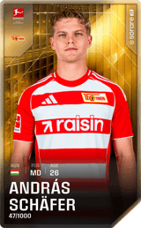 András Schäfer - limited