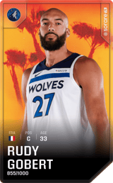 Rudy Gobert - limited