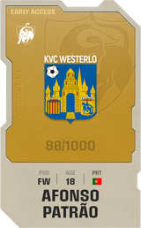 Afonso Patrão - limited