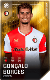 Gonçalo Borges - limited