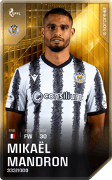 Mikaël Mandron - limited