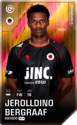 Jerolldino Bergraaf - limited