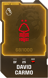 David Carmo - limited