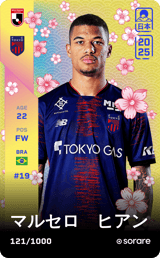 Marcelo Ryan - limited