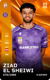 Ziad El Sheiwi - limited