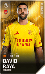 David Raya - limited