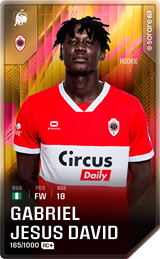 Gabriel David - limited