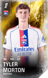 Tyler Morton - limited