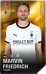 Marvin Friedrich - limited