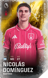Nicolás Domínguez - limited