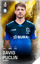 David Puclin - limited