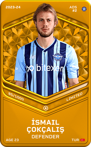 İsmail Çokçalış - limited