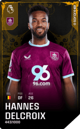 Hannes Delcroix - limited