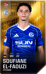 Soufian El-Faouzi - limited