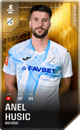 Anel Husic - limited