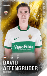 David Affengruber - limited