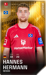 Hannes Hermann - limited