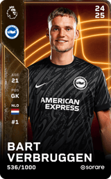 Bart Verbruggen - limited