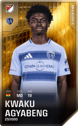 Kwaku Agyabeng - limited