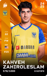 Kahveh Zahiroleslam - limited