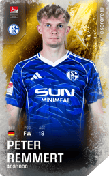 Peter Remmert - limited