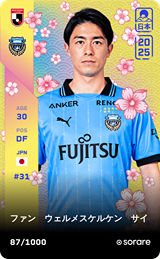 Sai van Wermeskerken - limited