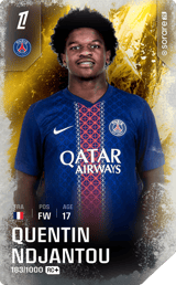 Quentin Ndjantou - limited
