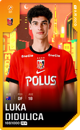 Luka Didulica - limited