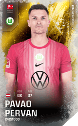 Pavao Pervan - limited