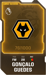 Gonçalo Guedes - limited