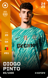 Diogo Pinto - limited
