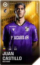 Juan Castillo - limited