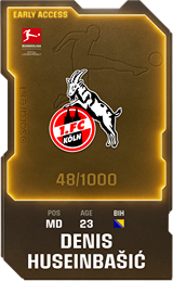 Denis Huseinbašić - limited