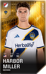 Harbor Miller - limited