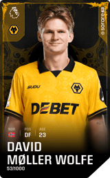 David Møller Wolfe - limited