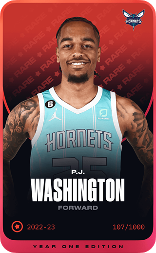 P.J. Washington - rare