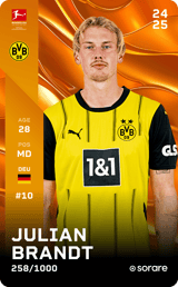 Julian Brandt - limited