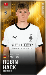 Robin Hack - limited