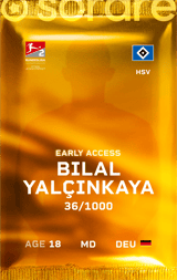 Bilal Yalçınkaya - limited