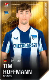 Tim Hoffmann - limited