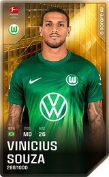 Vinicius Souza - limited