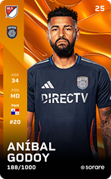 Aníbal Godoy - limited