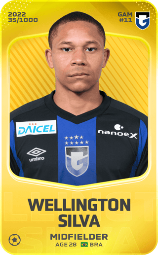 Wellington Silva - limited